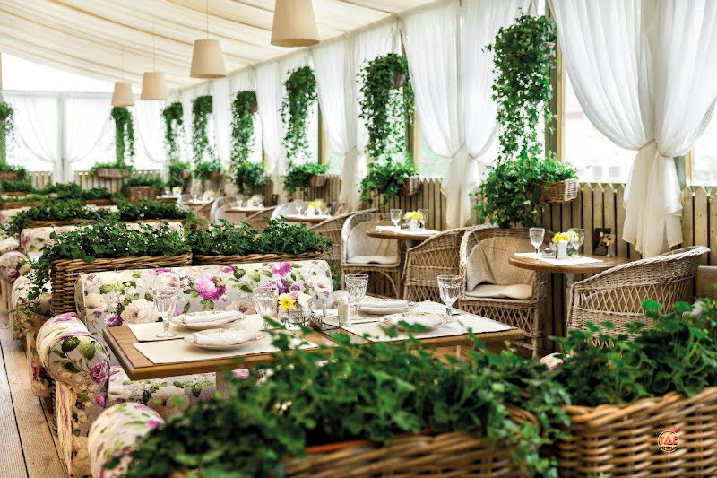 Плюшкин фотография №18