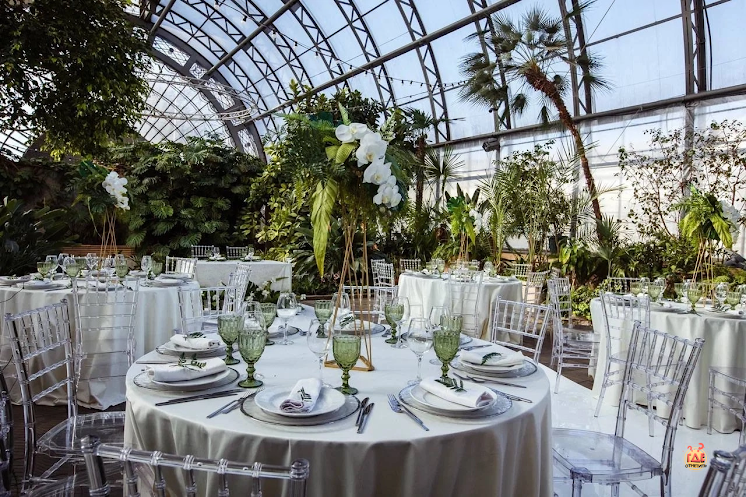 Оранжерея  в «Оранжерея Таврического Сада» фотография №2