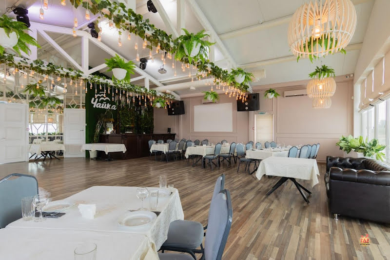 Чайка фотография №10