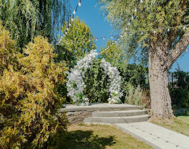 Новый год в Дон