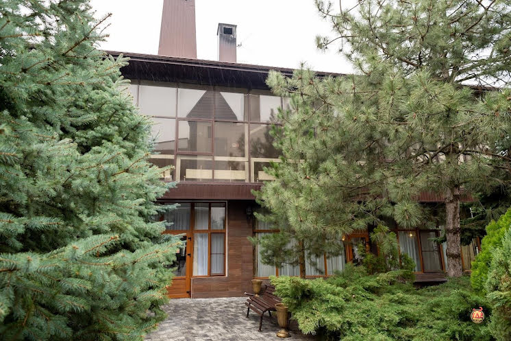 Зал "VIP на 12 персон" в «Голубое Озеро» фотография №6