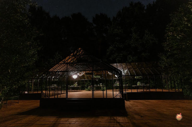 Forest Dew фотография №15