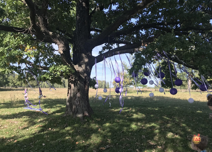 Терраса в «Поляна невест» фотография №13