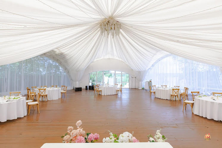 Сосновый бор в «Солнечный Берег» фотография №1