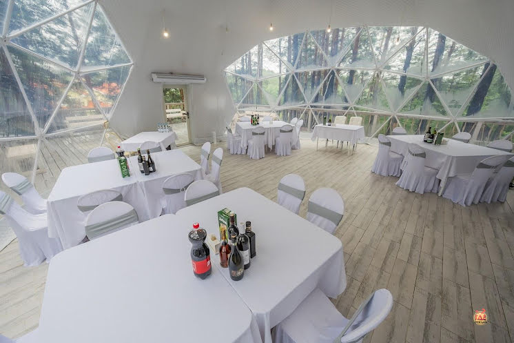 Купол «Премьер» в «Лесная галактика» фотография №8