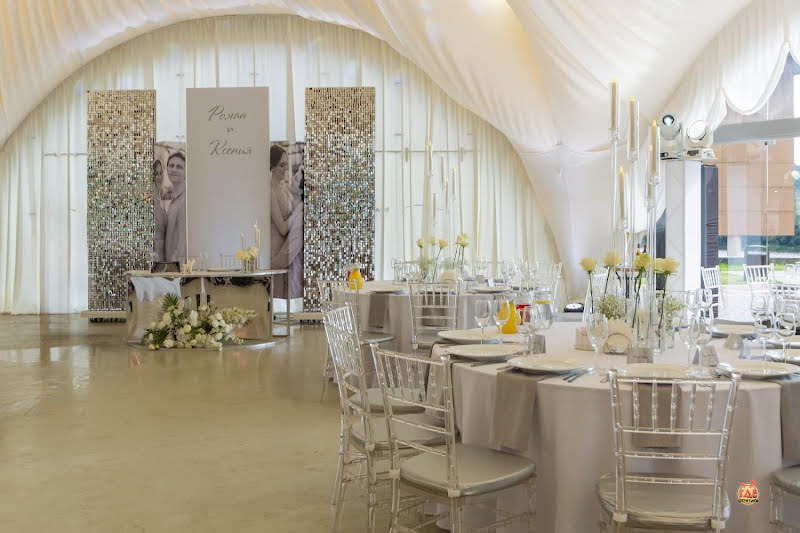 Чайка фотография №14