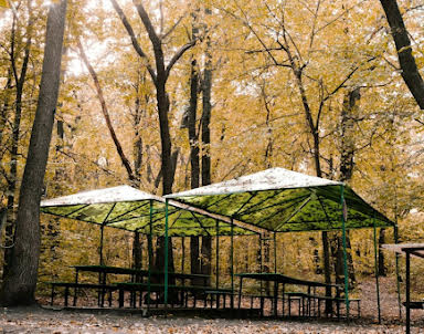  ресторан Лесная Крепость