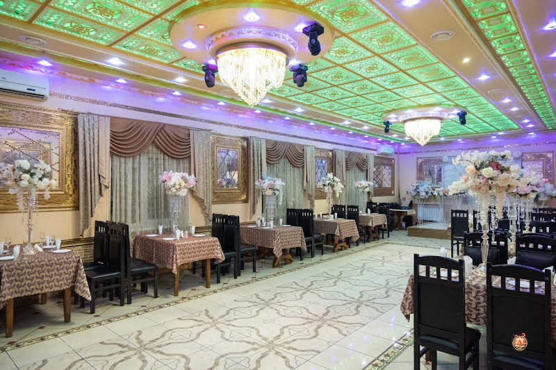 Беркут фотография №11