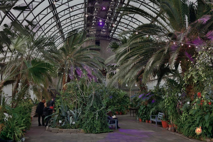 Оранжерея  в «Оранжерея Таврического Сада» фотография №18