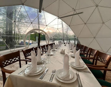 Новый год в Гуси-Лебеди