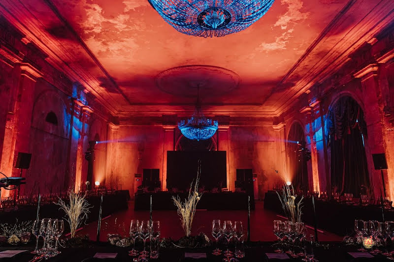 Пальма фотография №1