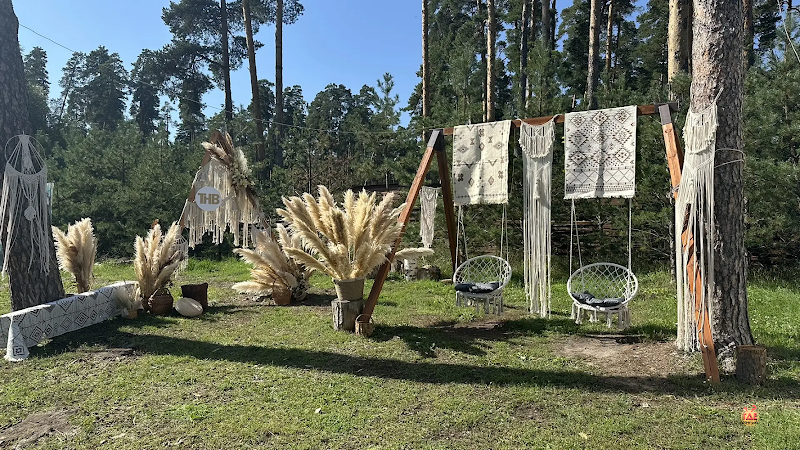 Forest-lake фотография №6