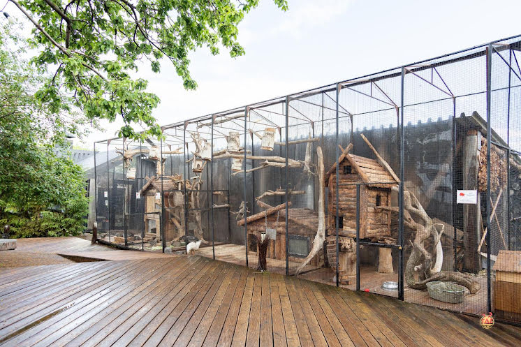 Шатер  в «THE Камский» фотография №4