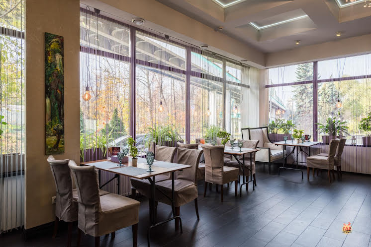 Малый зал в «Времена года в Парке Горького» фотография №10