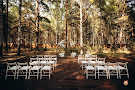 Площадка для выездной церемонии в «Ресторан Лесной»