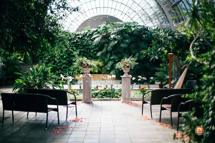 Оранжерея  в «Оранжерея Таврического Сада» фотография №17