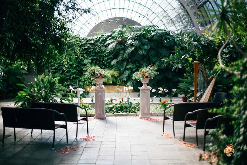 Оранжерея Таврического Сада фотография №17