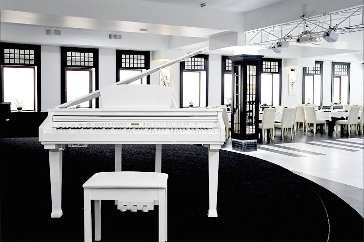 Зал "Рояль Холл" в «Отдых» фотография №17