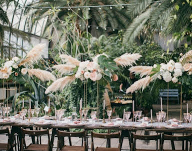  ресторан Оранжерея Таврического Сада