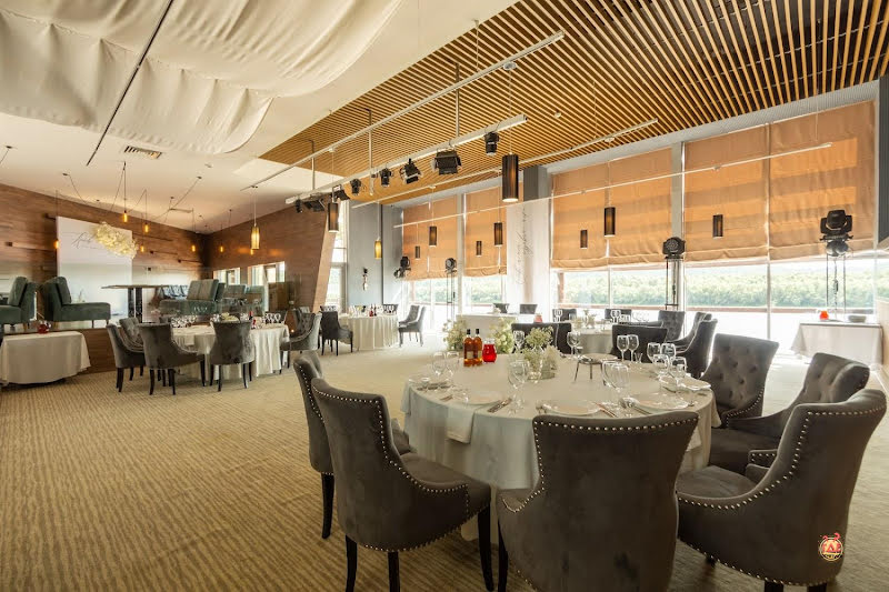 Чайка фотография №17