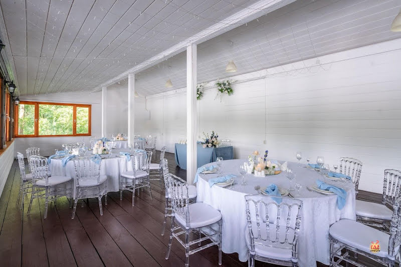 Гуси-Лебеди фотография №5