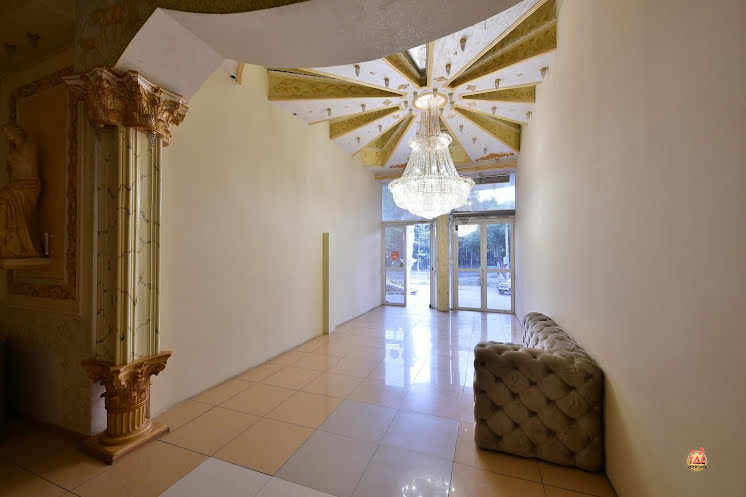 Большой зал  в «Афина» фотография №1