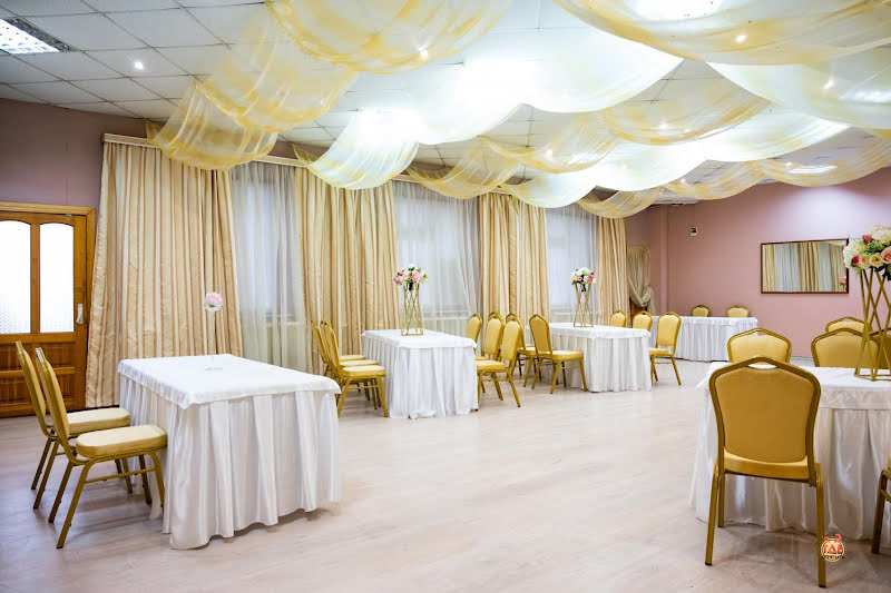 Чайка фотография №10