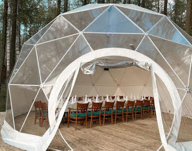 Новый год в Гуси-Лебеди