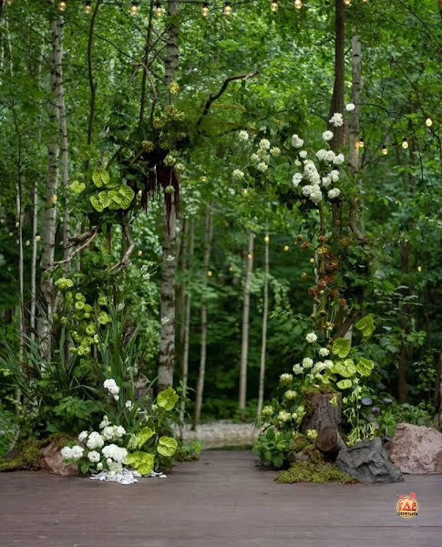 Forest Dew фотография №2