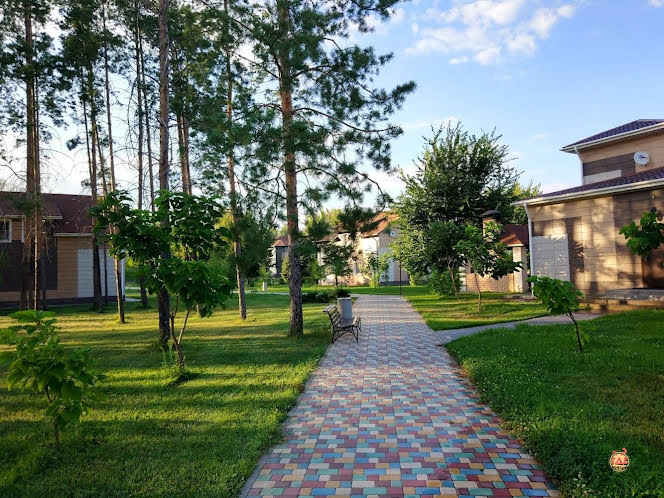 Шатер  в «Афина» фотография №5