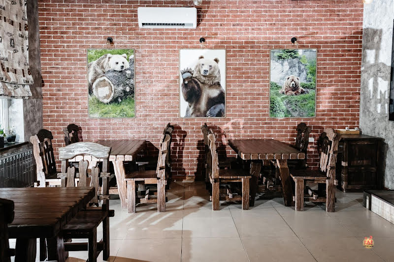 Медведь фотография №5