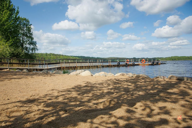 Бородинское фотография №11