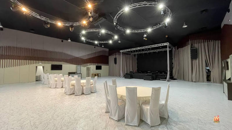 Чайка фотография №11