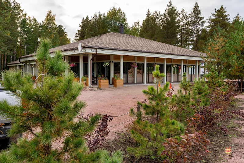 Лес фотография №12