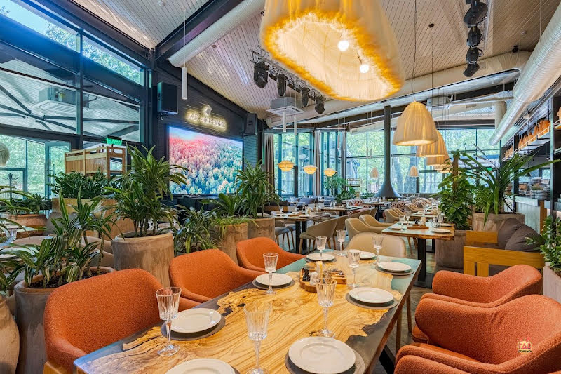 Лес и Кролик фотография №16