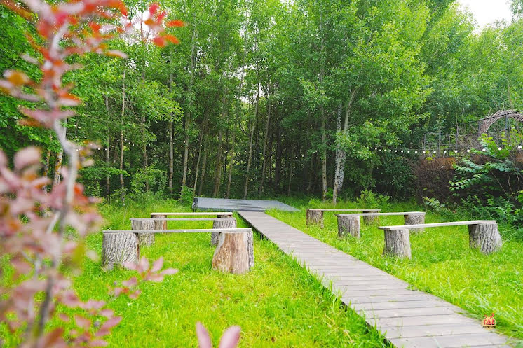 Купол в «SVIYAGA glamp» фотография №1