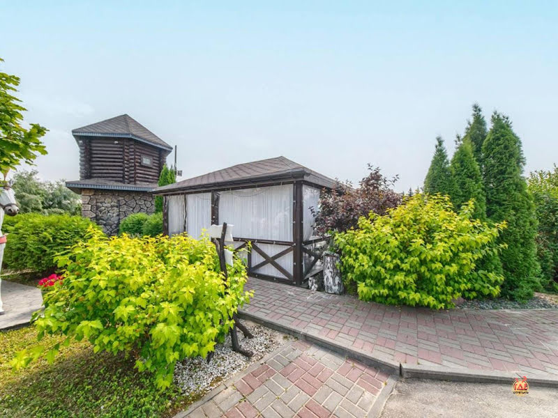 Зелёный островок фотография №3