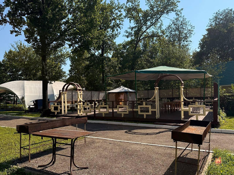 Дубрава фотография №5