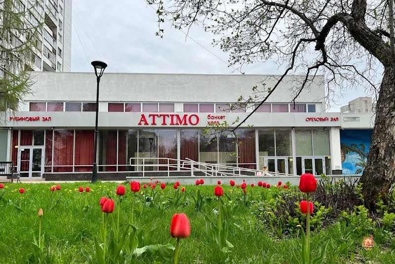 Attimo фотография №4