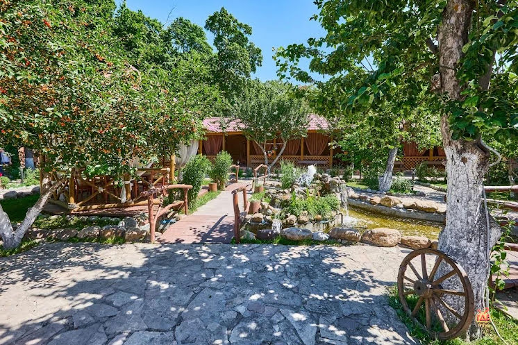 Летняя терраса в «Мельница» фотография №13