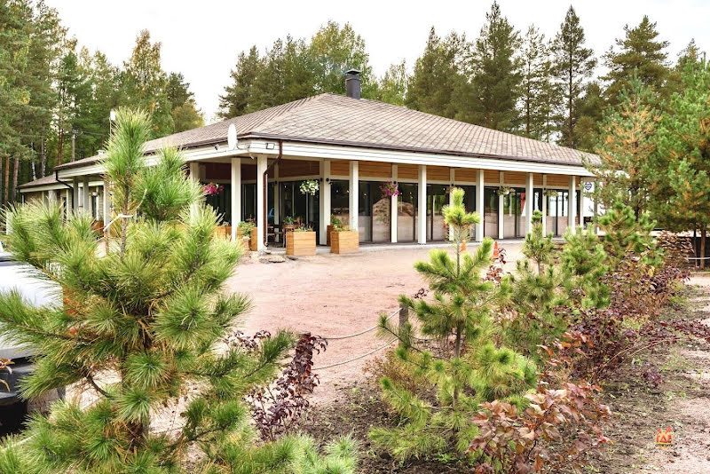 Лес фотография №2