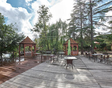 Новый год в Озеро Дивное