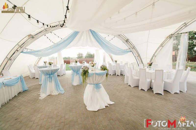 Сосны фотография №12