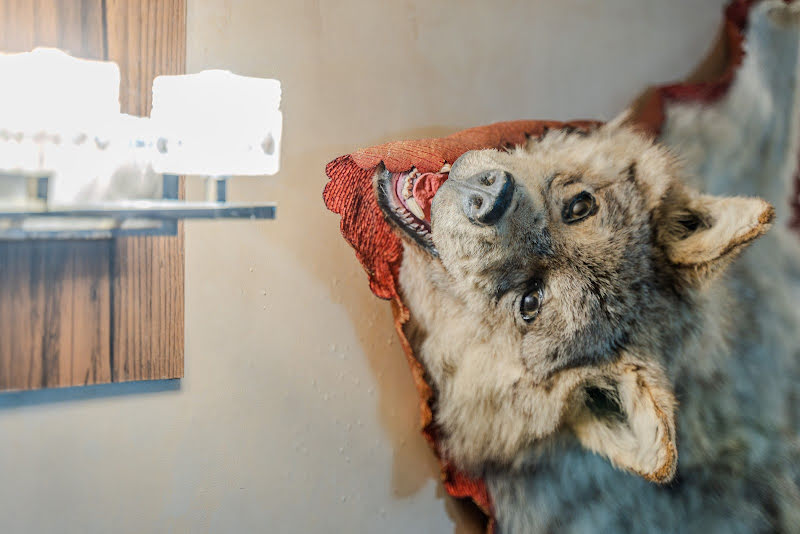 Сухуми фотография №19