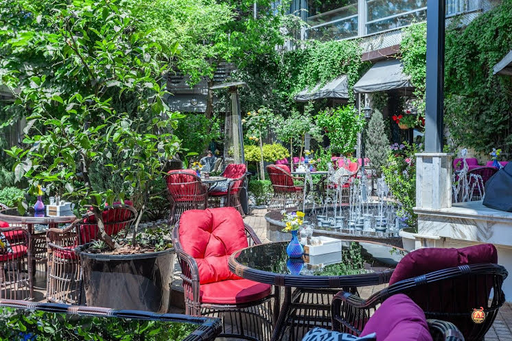 Летний дворик в «Stephania» фотография №9