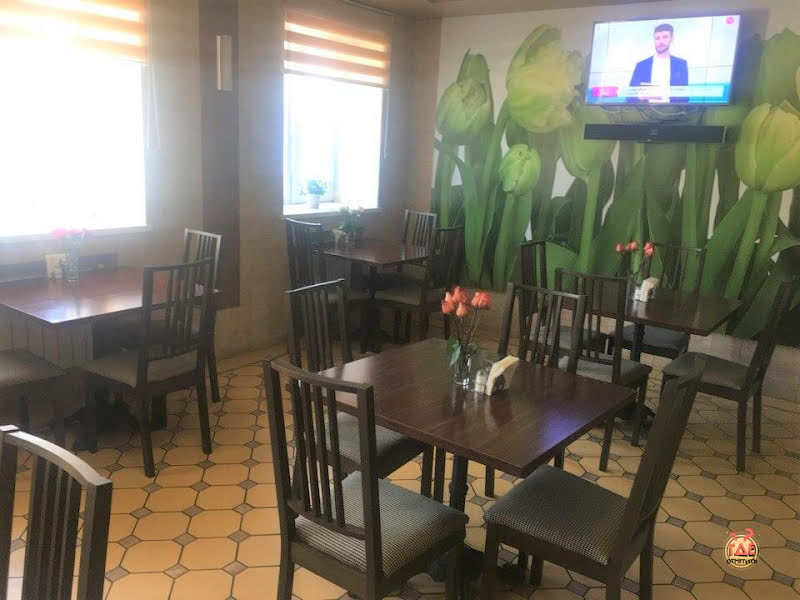 Элистар фотография №5