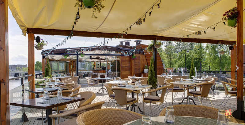 Чайка фотография №10