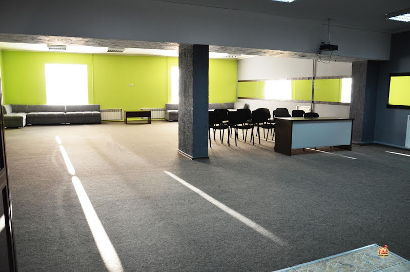 Чайка фотография №14