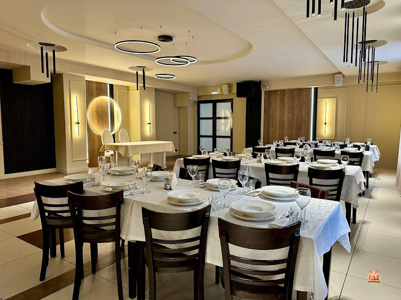 Чайка фотография №6