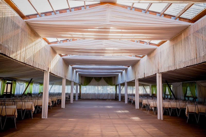 Иволга фотография №1